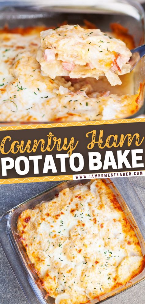 Country Ham Recipes, August Meals, Ham And Potato Recipes, Recipes With Cooked Ham, Ham Recipes Healthy, Quick Casserole, Recipes Using Ham, Ham Dinner Recipes, Ham Recipes Crockpot