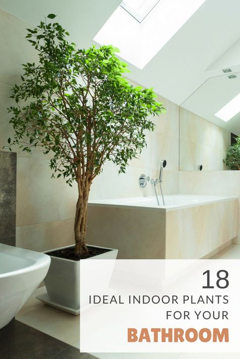 Tree In Bathroom Ideas, Modern Bathroom With Plants, Tree In Bathroom, Skylight Plants, Indoor Plants For Bathroom, Indoor Plants Bathroom, Airy Bathroom, Nautical Farmhouse, Barn Wood Bathroom