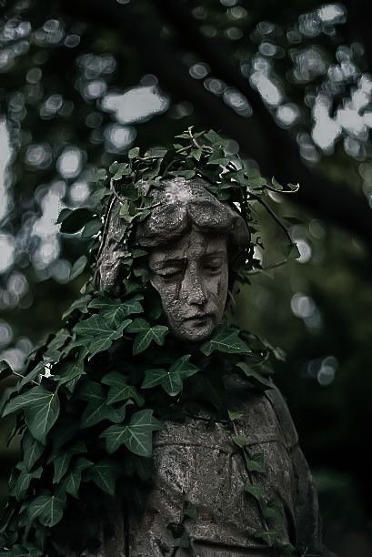 ᅠ ᅠ on X: "https://t.co/0N2tYYrYY1" / X Victorian Green Aesthetic, Eden Green Aesthetic, Fantasy Green Aesthetic, Irish Aesthetic Dark, Dark Green Fantasy Aesthetic, Dark Green Gothic Aesthetic, Dark Irish Aesthetic, Junipercore Aesthetic, Dark Celtic Aesthetic