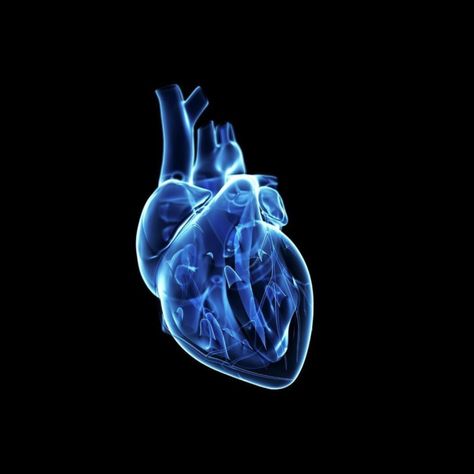 Blue Phone Theme, Blue Widget, Blue Aesthetic Dark, Heart Artwork, Blue Core, Science Illustration, Human Heart, Aesthetic Dark, Phone Stuff