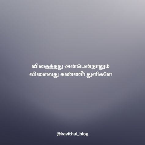 விதைத்தது அன்பென்றாலும் விளைவது கண்ணீர் துளிகளே @kavithai_blog ✨ #tamilsadquotes Akka Thangachi, Quotes In Tamil, Beautiful Quran Verses, Lion Images, Tamil Quotes, Photo Album Quote, Quran Verses, Quran, Photo Album