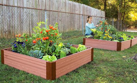 Someone picks tomatoes in one of two green raised garden beds. Gardening Videos, Raised Garden Bed Kits, Raised Vegetable Gardens, Raised Flower Beds, Better Homes And Garden, Garden Bed, Landscaping With Rocks, Raised Beds, Raised Garden Beds