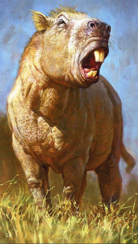 An illustration of the giant rodent <i>Josephoartigasia monesi</i>. The overgrown rodent was bigger than a buffalo and had giant teeth that it used like elephant tusks. Ancient Animals, Paleo Art, Extinct Animals, Prehistoric Creatures, Prehistoric Animals, Zoology, Weird Animals, Rodents, Creature Design