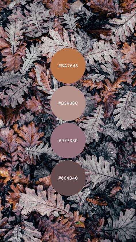 Mauve And Orange Bedroom, Dusky Purple, Mauve And Rust Color Palette, Mauve Fall Color Palette, Lavender Fall Color Palette, Purple Terracotta, Purple Earth Tones Color Palette, Antique Color Palette Vintage, Mauve And Orange