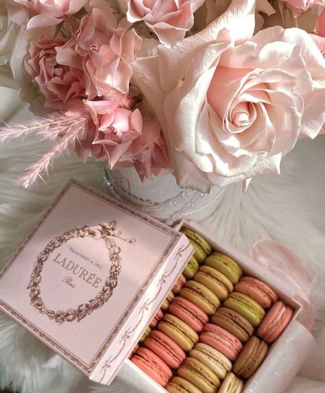 Pink Macaroons, Aesthetic Products, Cute And Aesthetic, Laduree Paris, Baby Pink Aesthetic, Paris Aesthetic, Aesthetic Life, No Rain, Pink Girly Things