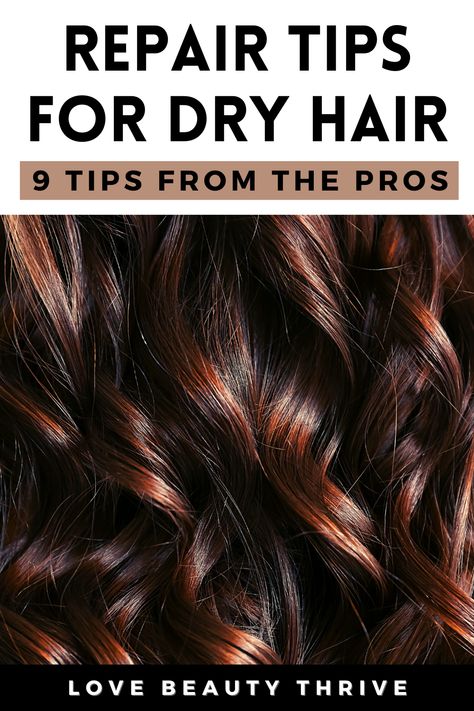 Level up your hair care with our guide to repairing, treating and preventing dry, damaged hair. Full of professional tips on deep conditioning, eliminating split ends, coconut oil treatments, the right hair brushes, hair care products and more. If you've got dry, brittle hair or breakage, bring back the shine and moisture! Get ready for healthy, strong hair with the ultimate hair repair tips. #HairRepair #HairTreatment #DryHair #DamagedHair #HairCare #HairCareRoutine #SplitEnds #CoconutOil How To Repair Dry Damaged Hair, Best Products For Damaged Hair, Tips For Dry Hair, Extremely Dry Hair, Moisturizing Hair Oil, Stop Hair Breakage, Hair Repair Treatments, Dry And Damaged Hair, Split Hair