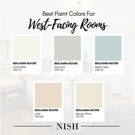 Best Paint Colors For Office Space, Crushed Ice Paint Color, Crushed Ice Paint, South Facing Living Room, North Facing Rooms, Best Sherwin Williams Paint, Color Undertones, Warm Neutral Paint Colors, Best Neutral Paint Colors