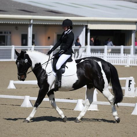 What to wear for dressage – A guide to women’s and children’s competition clothing Dressage Outfit, Dressage Tests, Dressage Competition, Horse Show Clothes, Jodhpur Boots, Horse Dressage, Clothing Guide, Riding Tights, Riding Hats