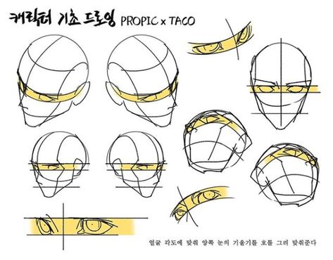 Draw the eyes slanted according to the angle of the curve of the face by drawing a guideline. Taco Drawing, Drawing Anatomy, 얼굴 드로잉, Anatomy Tutorial, Human Anatomy Drawing, Face Drawing Reference, Manga Drawing Tutorials, Drawing Heads, Human Anatomy Art