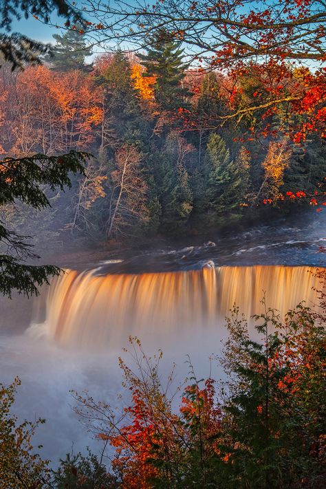 Forest Fall, Tahquamenon Falls, Autumn Waterfalls, Forest Falls, Waterfall Pictures, Fall Wallpaper, Fall Foliage, Amazing Nature, Pretty Pictures