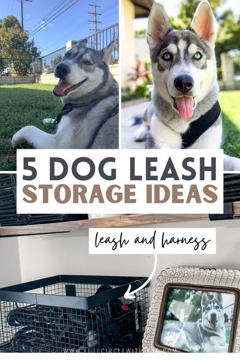 Dog Leash Station, Dog Leash Storage, Dog Supplies Storage, Dog Supplies Organization, Pet Leash Holder, Dog Station, Dog Leash Hanger, Pet Station, Dog Storage