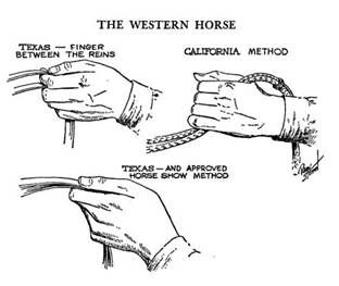 undefined Western Riding Tips, How To Tack Up A Horse Western, Horse Guide, Horse Riding Tips Western, Western Equitation, How To Teach A Horse To Neck Rein, How To Ride A Horse Western, Western Horse Riding, Western Bridles And Reins