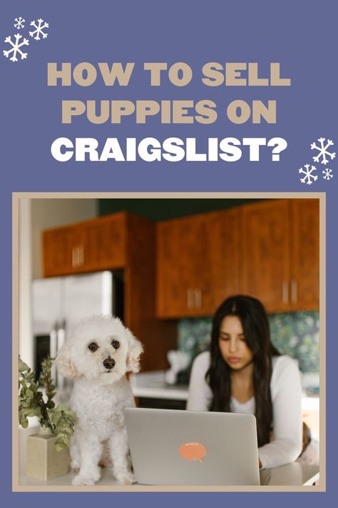 Unlock the secrets to finding loving homes for your puppies on Craigslist! Head over to our article to find out a detailed guide on "How to Sell Puppies on Craigslist". 🏡🐾 #dogs #puppies #rehomingtips #craigslistpets #howtosellpuppiesoncraigslist #dogrehoming #craigslist How To Sell Puppies Fast, Selling Puppies Ideas, How To Advertise Puppies For Sale, How To Sell Puppies, Puppy Announcement, Puppy Litter, Selling Strategies, Where To Sell, Dog Blog