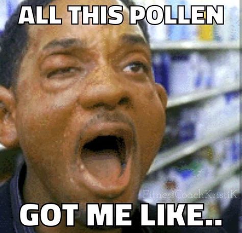 Allergies got me like.. Allergies Quote, Allergy Memes, Allergies Funny, Will Smith Meme, Hvac Humor, Pinterest Humor, Stuff And Thangs, Bones Funny, Will Smith