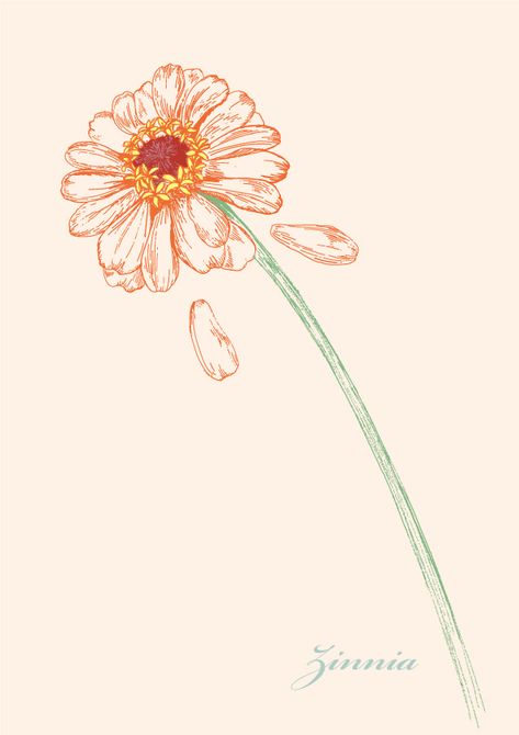 Zinnia Illustration, Zinnia Flowers Tattoo, Zinnia Flowers Drawing, Zinnia Drawing, Zinnia Tattoo, Zinnia Flower, Botanical Fabric, Possible Tattoo, Flower Language