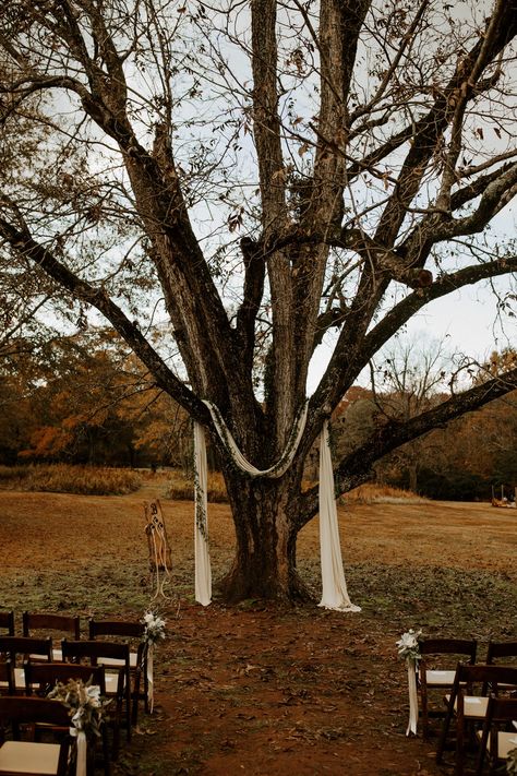 An elegant farm house style wedding under a giant oak tree at Vinewood Stables in Newnan Georgia for Skyler and Haley | Vinewood Stables Wedding | Farm House Style Wedding | Outdoor Wedding Inspiration Wedding Ceremony Under Tree Fall, Under A Tree Wedding, Tree As Wedding Arch, Married In Front Of Tree, Outdoor Tree Wedding, Wedding Oak Tree, Winter Outdoor Wedding Ceremony, Big Tree Wedding Ceremony, Tree Alter Wedding