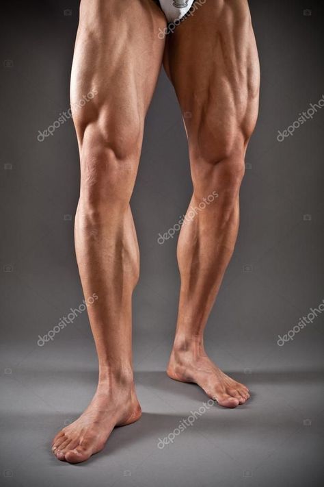 Leg Muscles Anatomy, Leg Reference, Leg Anatomy, 남성 근육, Human Anatomy Reference, Muscular Male, Man Anatomy, Drawing Legs, Modele Fitness