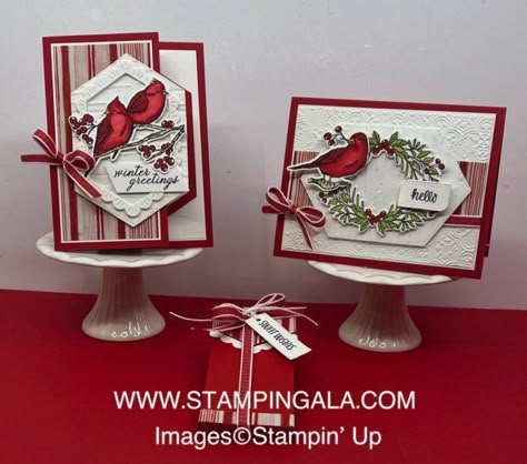 Greeting cards and treat holder designed by Julie Gilson using the Winterly Tree Tops Bundle by Stampin' Up! Winter Greetings, Christmas Card Ideas, Christmas Apps, Holiday 2024, Winter Tree, Stampin Up Christmas Cards, Hello Cards, Christmas Bird, Fall Mini