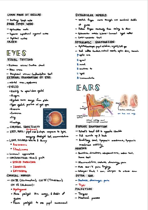 Eye Assessment Nursing, Head To Toe Assessment Nursing, Assessment Nursing, Nurse Study, Breath Sounds, Nursing 101, Student Tips, Nursing School Motivation, Nurse Study Notes