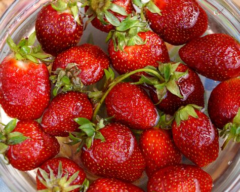 Clean Strawberries, How To Clean Strawberries, How To Wash Strawberries, Wash Strawberries, Cleaning Fruit, Store Strawberries, Washing Fruit, Baking Soda Cleaner, Strawberry Vinegar