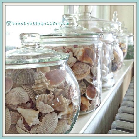 Coastal Home Decor. Shells, sea urchins, sea glass collections in apothecaries on windowsill. It's a Beach Cottage Life. Beach House chic! Deco Surf, Deco Marine, Beachy Decor, Coastal Living Rooms, Cottage Life, Beach Cottage Decor, Beach House Style, Shell Decor, Beach House Interior