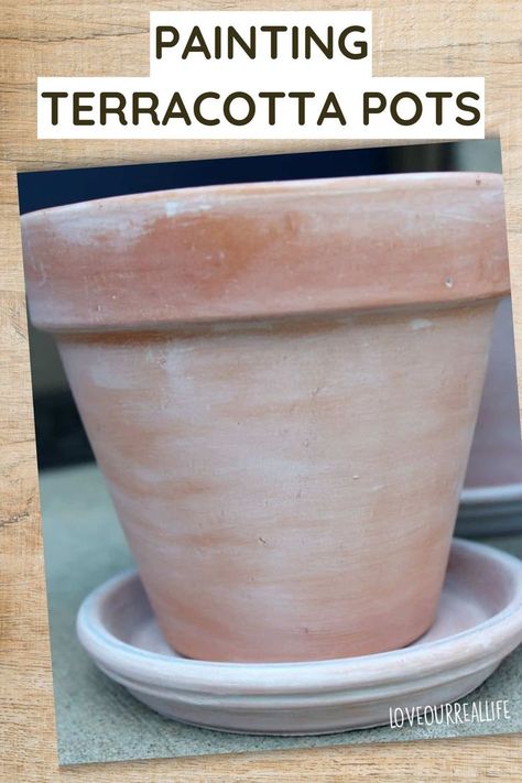 White wash clay pot. Wood Stain Furniture, Paint Terra Cotta Pots, Paint Countertops, Stain Furniture, Annie Sloan Paint Colors, Creative Painting Ideas, Diy Terra Cotta Pots, Walls Painting, Tile Paint