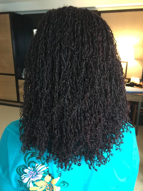 1st year locaversary (Jan. 14, 2017) ! Sister Locks With Curly Ends, Sister Locs Curly Ends, Locks With Curly Ends, Locs Curly Ends, Mini Locs, Microloc Journey, Locs Curly, Loc Nation, Sisterlocks Journey