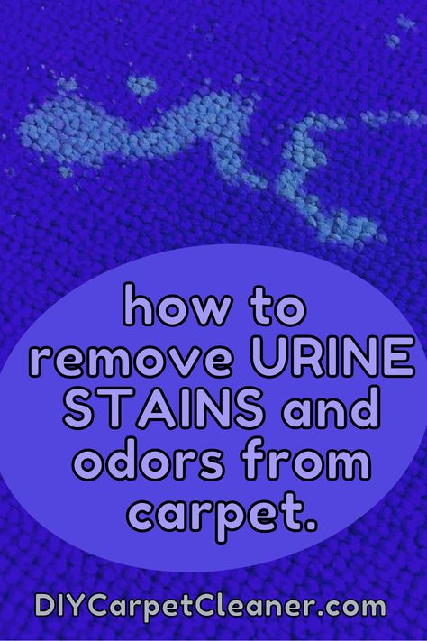 As a someone who has worked in the carpet cleaning business, I can tell you that pet urine stains are one of the most common concerns that my customers have had. Most professional cleaners love pet stains because it means that they get to charge extra fees for the cleaning job, and most customers end up paying these fees because they don't know how to clean these stains on their own. Amonia Cleaning, Diy Carpet Cleaning Solution, Remove Urine Smell, Cleaning Pet Urine, Stain Guide, Borax Cleaning, Pee Stains, Coffee Stain Removal, Stain Remover Carpet