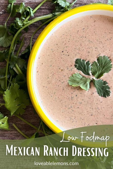 Low FODMAP Mexican Ranch Dressing Recipe Mexi Ranch Dressing, Mexican Ranch Dressing, Taco Ranch Dressing, Mexican Salad Dressings, Mexican Ranch, Quesadilla Burgers, Taco Salad Dressing, Ranch Dipping Sauce, Mexican Salads