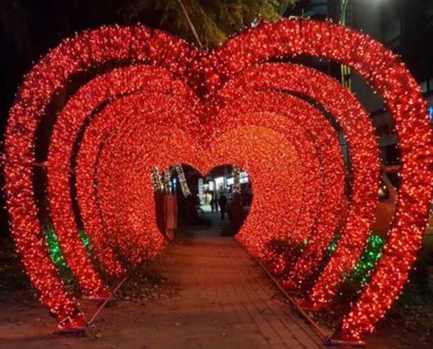 Outdoor Wedding Lights, Outdoor Wedding Lighting, Photography Studio Design, Red Wedding Theme, Logo Game, Tunnel Of Love, Entry Decor, Tent Decorations, Wedding Design Decoration