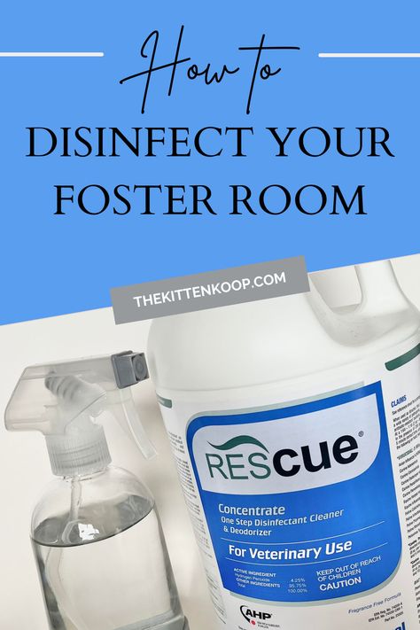 How to Disinfect Your Foster Room – The Kitten Koop Foster Kittens Setup, Kitten Fostering, Group Of Kittens, Foster House, Foster Animals, Foster Cat, Foster Kittens, Kitten Care, Foster Mom