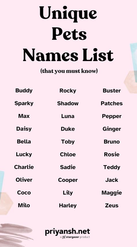 Disney Pet Names, Neutral Names, Sims Names, Cute Pet Names, Best Character Names, Fantasy Names, Name Inspiration, Crazy Funny Pictures, Female Names