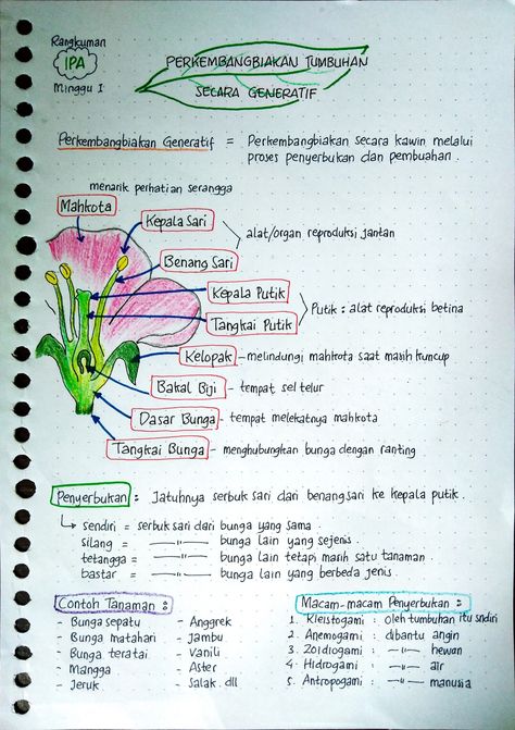 Materi Kelas 6, Materi Ipa, Pelajaran Ipa, Peta Pikiran, School Study Ideas, Best Study Tips, Teaching Biology, English Worksheets For Kids, Pretty Notes