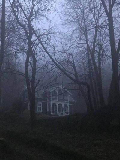 @asheddreams on Tumblr Paradis Sombre, Dark Naturalism, Dark Fairycore, Creepy Houses, Dark Paradise, Southern Gothic, Nature Aesthetic, Grunge Aesthetic, Aesthetic Photo