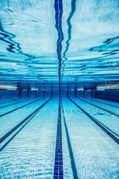 Swimming Pool Photography, Swimming Photography, Pool Aesthetic, Swimming Posters, Swimming Pictures, Swimming Benefits, Swimmers Life, Pool Photography, Swim Life