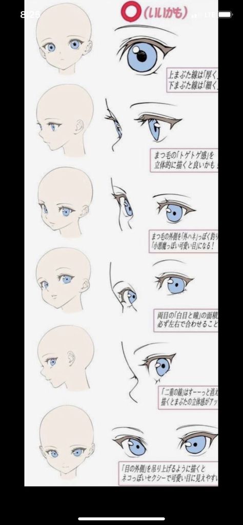 Anime Face Structure Reference, Eye Positions Reference, Anime Face Guide, Pose Bust Up Reference, Manhwa Face Tutorial, Manhwa Face Reference, Manhwa Drawing Style, Anime Face Guidelines, Manhwa Tutorial