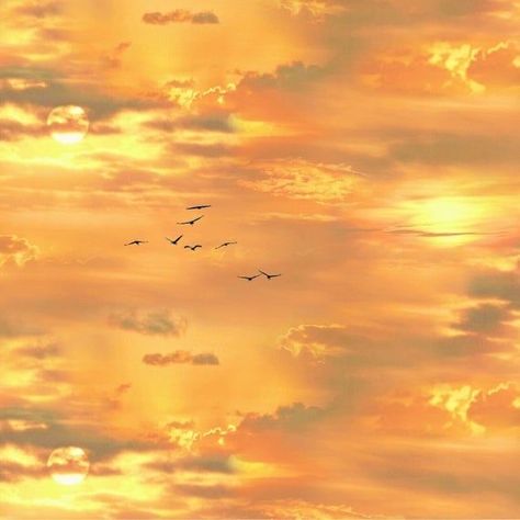 Sky With Birds, Gold Sunset, Iphone Wallpaper Yellow, Yellow Aesthetic Pastel, Hufflepuff Aesthetic, Yellow Theme, Image Nature, Gold Aesthetic, Orange Aesthetic