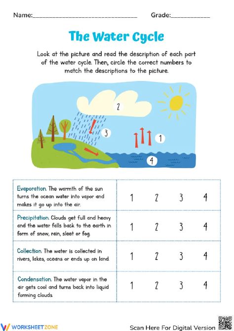 There are four steps in the water cycle. Explore it with this engaging worksheet right now! #watercycle #science #diagrams #labelling #process #water #environment #livingthings #circles #pdfs #worksheet #printables Water Cycle For Kids, Water Cycle Worksheet, Science Diagrams, Cycle For Kids, Water Environment, Kids Worksheet, The Water Cycle, Explanation Text, Water Cycle