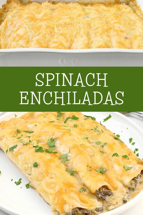 Green Chile Spinach Enchiladas Vegetarian Enchiladas Recipe, Spinach Enchiladas, Green Chile Enchilada Sauce, Breakfast Dessert Recipes, Homemade Salsa Verde, Cheesy Enchiladas, Enchilada Ingredients, Spinach Tortilla, Vegetarian Enchiladas