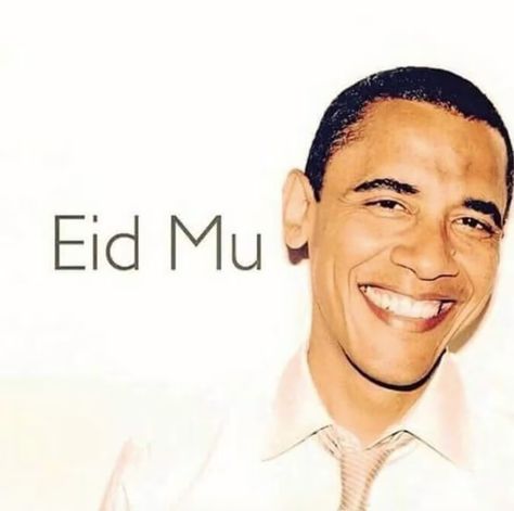 Eid Al Fitr Meme Funny Eid Mubarak, Reaction Images, Bad Cats, Eid Al Fitr, Hilarious Memes, Sum Up, Eid Mubarak, Super Funny, Royalty Free Photos