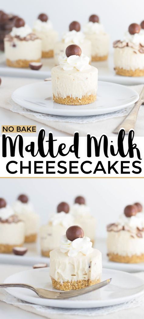 Malted Milk Desserts, Malted Milk Recipes, Mini No Bake Cheesecake Recipes, No Bake Cheesecakes, Malt Recipe, Biscotti Cheesecake, Biscuits Graham, Cheesecake Mini, Cheesecake Mousse