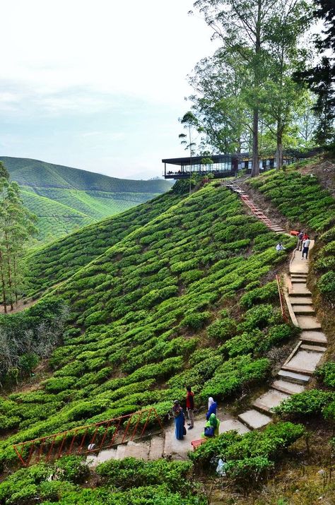 Cameron Highlands Malaysia, Park Architecture, Port Dickson, Strait Of Malacca, Kuala Terengganu, Vietnam Backpacking, Kota Bharu, Travel Vibes, Hiking Adventures