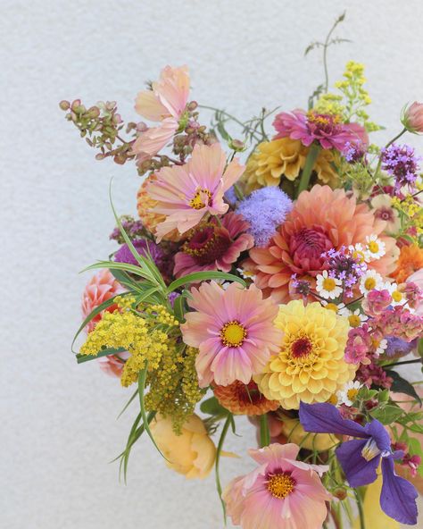 Congratulations to the very lovely Emma and James who married today in the tithe barn @pristonmill - all the vibrant late summer colour to celebrate their special day 💕 Thank you @wildroseandbrambleflowerfarm for extra flowers! #somersetwedding #colourfulwedding #brightweddingflowers #summerweddingflowers #somersetweddingflorist Bright Wedding Flowers, Daisy Bouquet, Wedding Flowers Summer, Summer Bouquet, Cut Flower Garden, Flower Farm, Late Summer, Wedding Florist, Summer Flowers