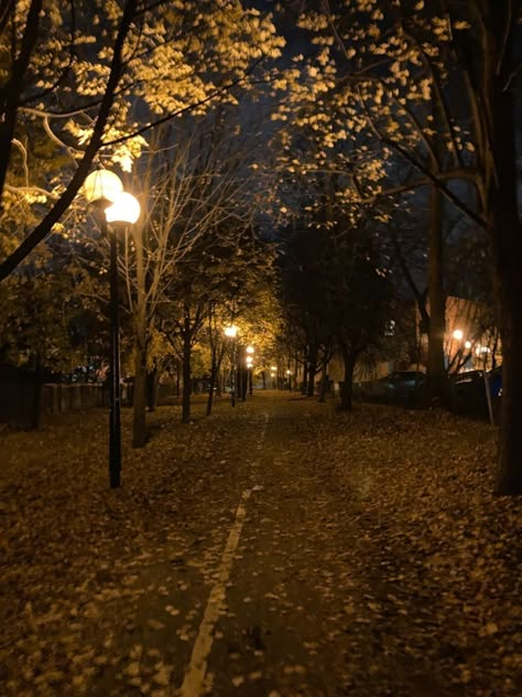 Dark Autumn, Autumn Scenery, Best Seasons, Fall Pictures, Autumn Cozy, Autumn Aesthetic, Night Aesthetic, Samhain, City Aesthetic