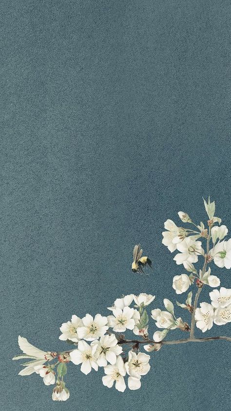 Floral Bird Wallpaper, Vintage Iphone Wallpaper, Pretty Wallpapers Backgrounds Aesthetic, Vintage Green Floral Wallpaper, Flowers And Birds Wallpaper, Spring Iphone Wallpaper, Vintage Dark Blue Floral Wallpaper, Vintage Floral Bird Wallpaper, Vintage Floral Backgrounds