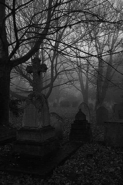 Paradis Sombre, Spooky Places, Old Cemeteries, Cemetery Art, Gothic Aesthetic, Dark Gothic, Dark Places, Dark Photography, White Photo