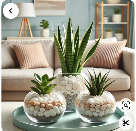 Succulent Garden Design, نباتات منزلية, Succulent Garden Diy, Tafel Decor, Deco Nature, Dekor Diy, Craft Room Decor, Plant Decor Indoor, House Plants Decor