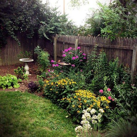 kentucky-native-plant-bed Native Plant Landscaping, Native Plant Landscape, Plants For Beginners, Texas Native Plants, Florida Native Plants, Florida Landscaping, Black Thumb, Native Plant Gardening, Australian Native Plants