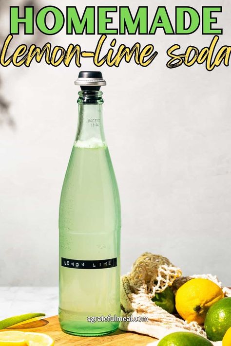 This homemade lemon lime soda is made with a lemon lime syrup and soda water. It's a refreshing and fizzy drink that you can make at home with a Sodastream machine. This recipe is the best and easiest way to make your own soda. It's simple, delicious, and perfect for any occasion. Sodastream Syrup, Lime Simple Syrup, Summer Party Food Ideas, Soda Stream Recipes, Cocktails Spring, Lime Syrup, Red Wine Cocktails, Easy Grill, Summer Party Food