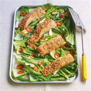 Roasted sesame salmon with ginger and chilli pak choi Recipe | delicious. Magazine free recipes Pak Choi Recipe, Low Carb Salmon Recipes, Sesame Salmon, Salmon Fillet Recipes, Low Carb Salmon, Salmon Curry, Salmon And Broccoli, Recipe Salmon, Healthy Salmon Recipes